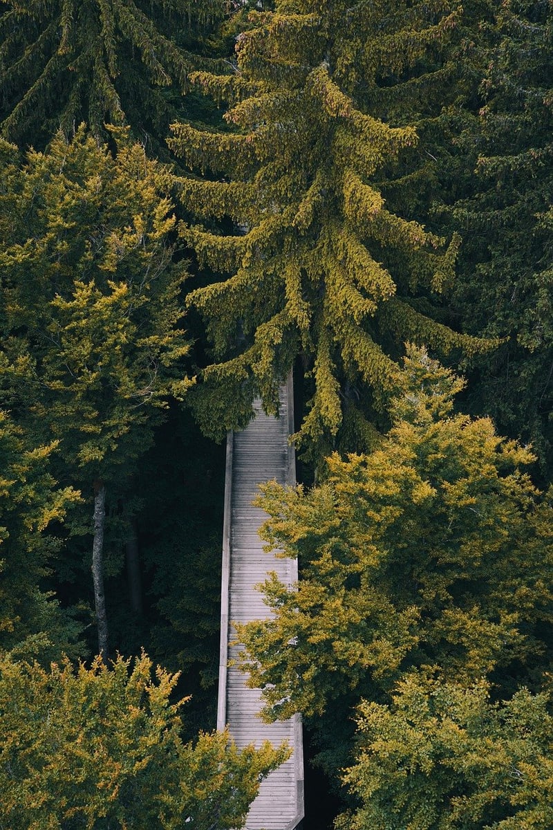 Nature Walk